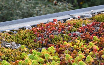 the cost of Slideslow green roof installation